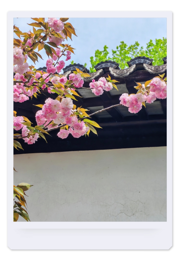 MEITU_20250518_092353992.jpg