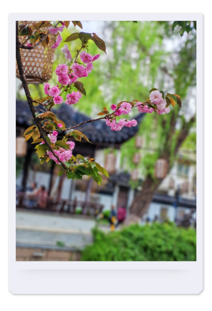 MEITU_20250518_092453017.jpg