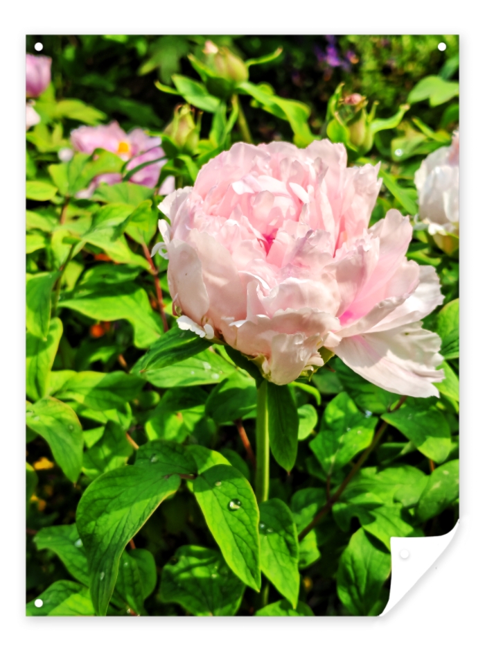 MEITU_20250513_152729540.jpg