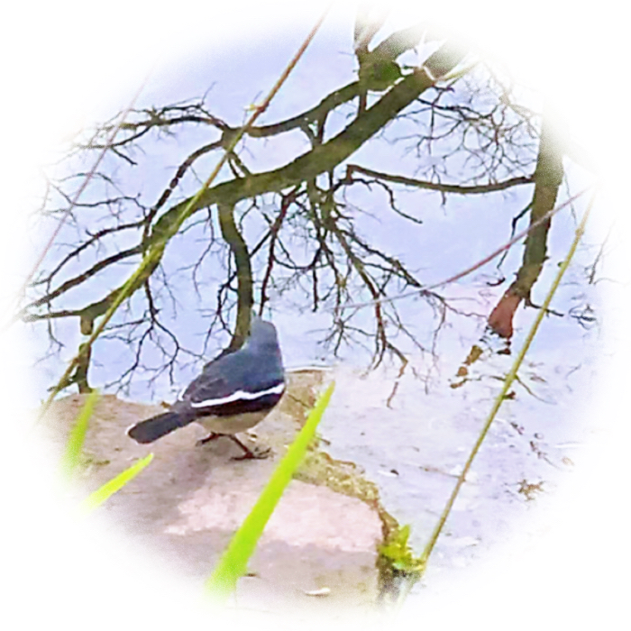 IMG_3020.jpeg
