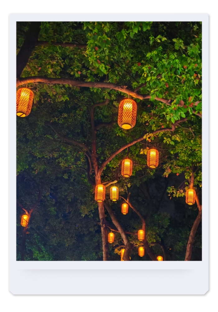 MEITU_20250520_081046885.jpg