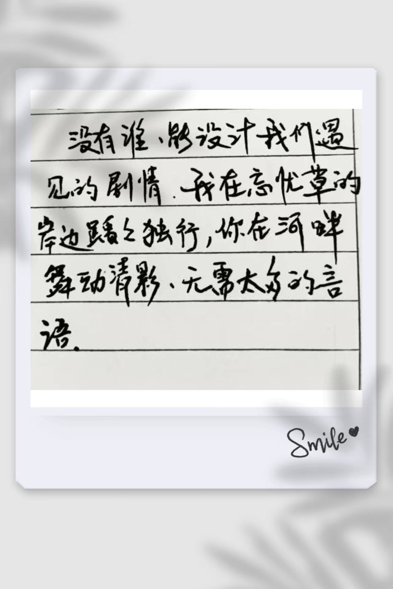 mmexport1747711049812.jpg