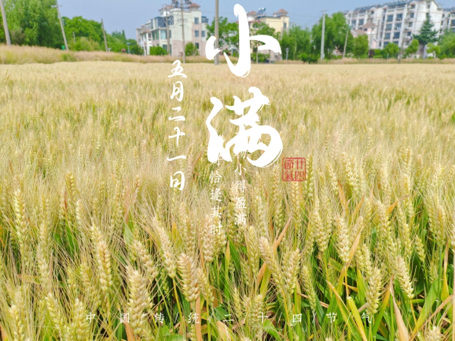 MEITU_20250521_173430509.jpg