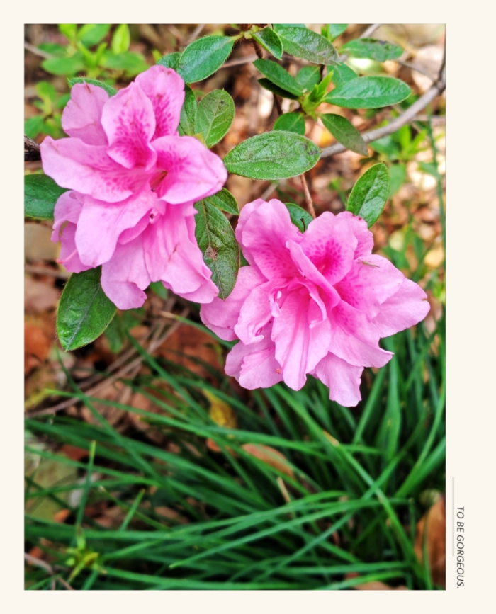 MEITU_20250520_211441026.jpg