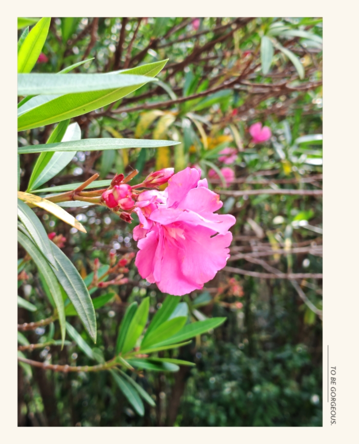 MEITU_20250522_090845443.jpg