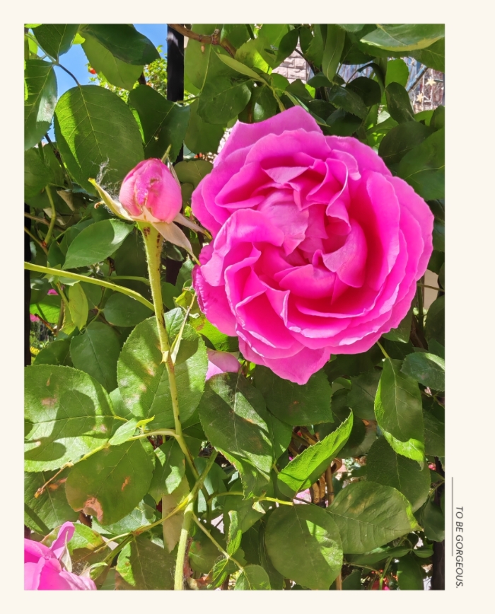 MEITU_20250520_211101635.jpg