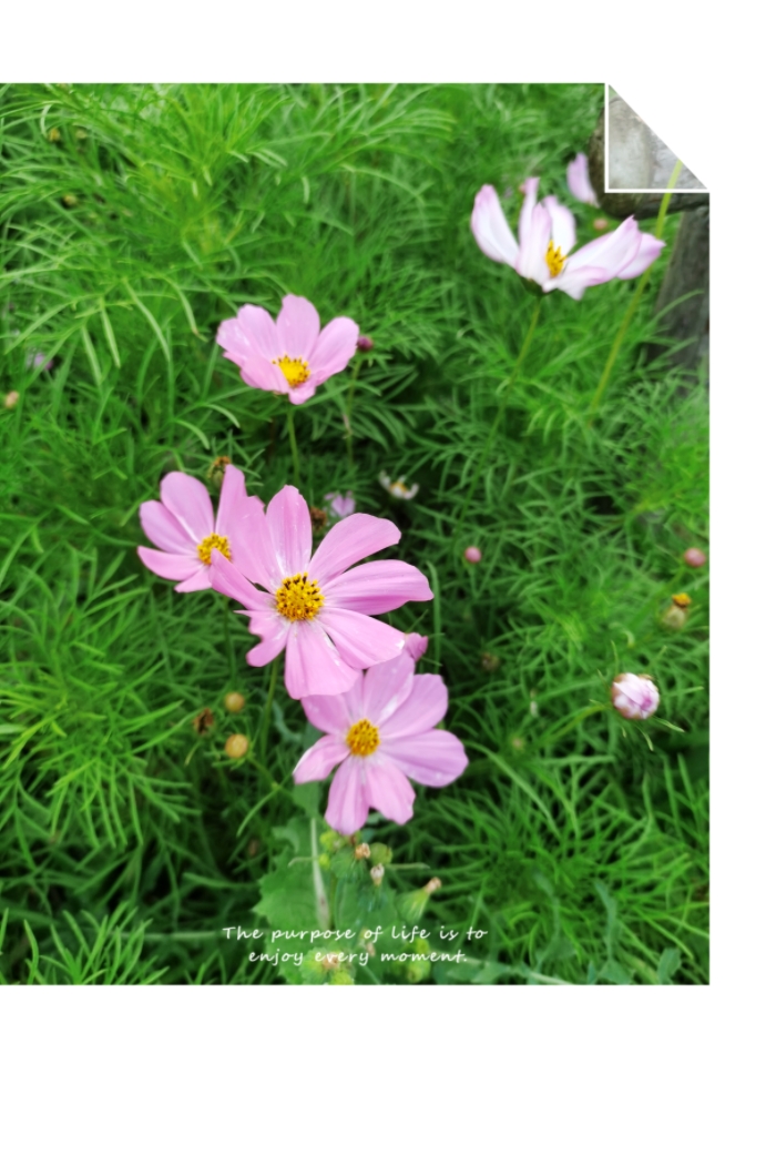 MEITU_20250522_094012910.jpg