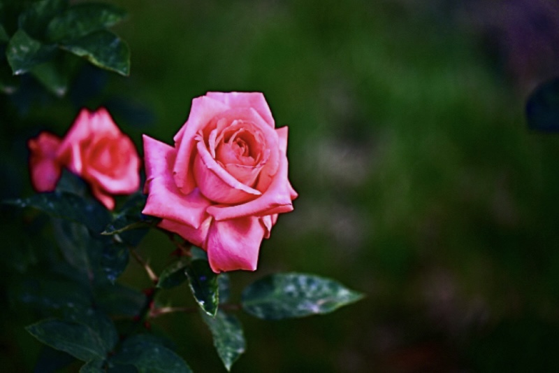 IMG_3120.jpeg