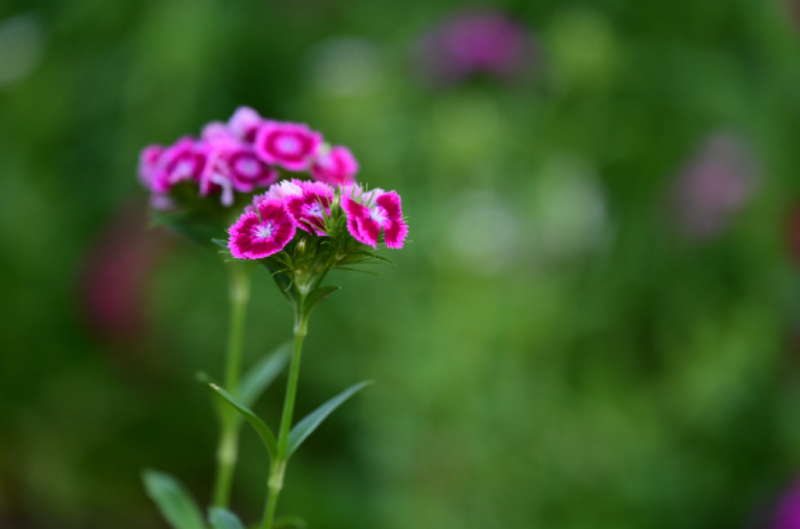 IMG_3119.jpeg
