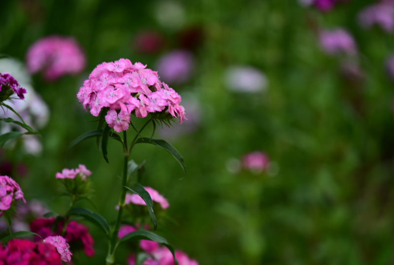 IMG_3118.jpeg