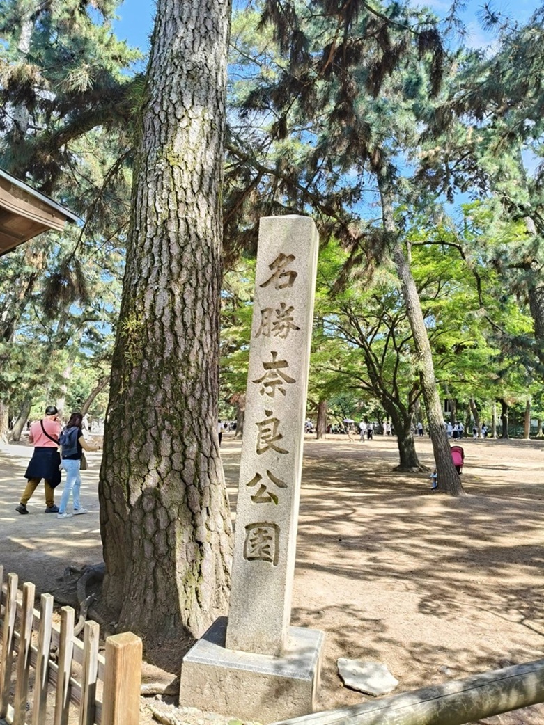 06.jpg