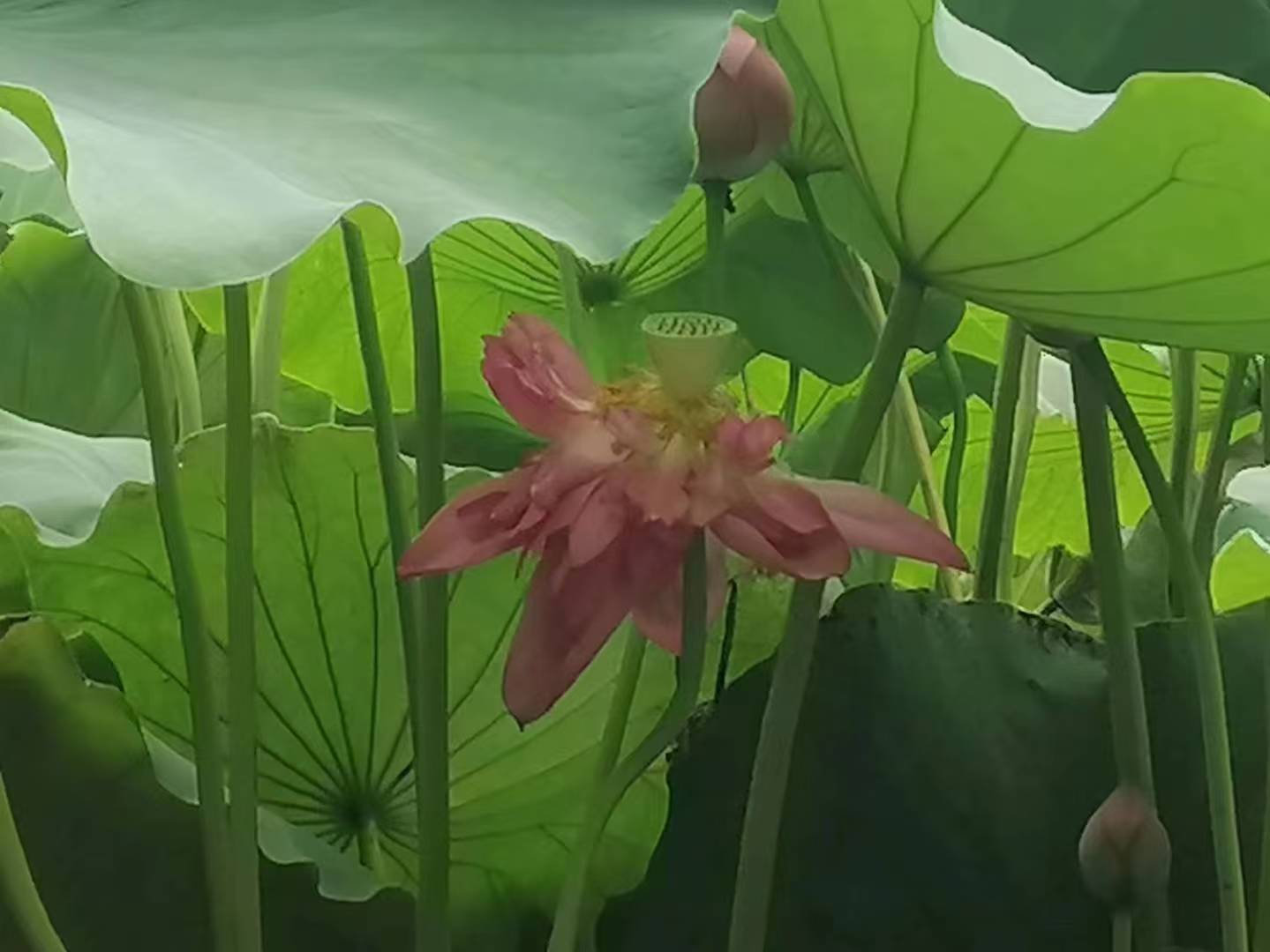 ΢ͼƬ_20250602194554_21.jpg