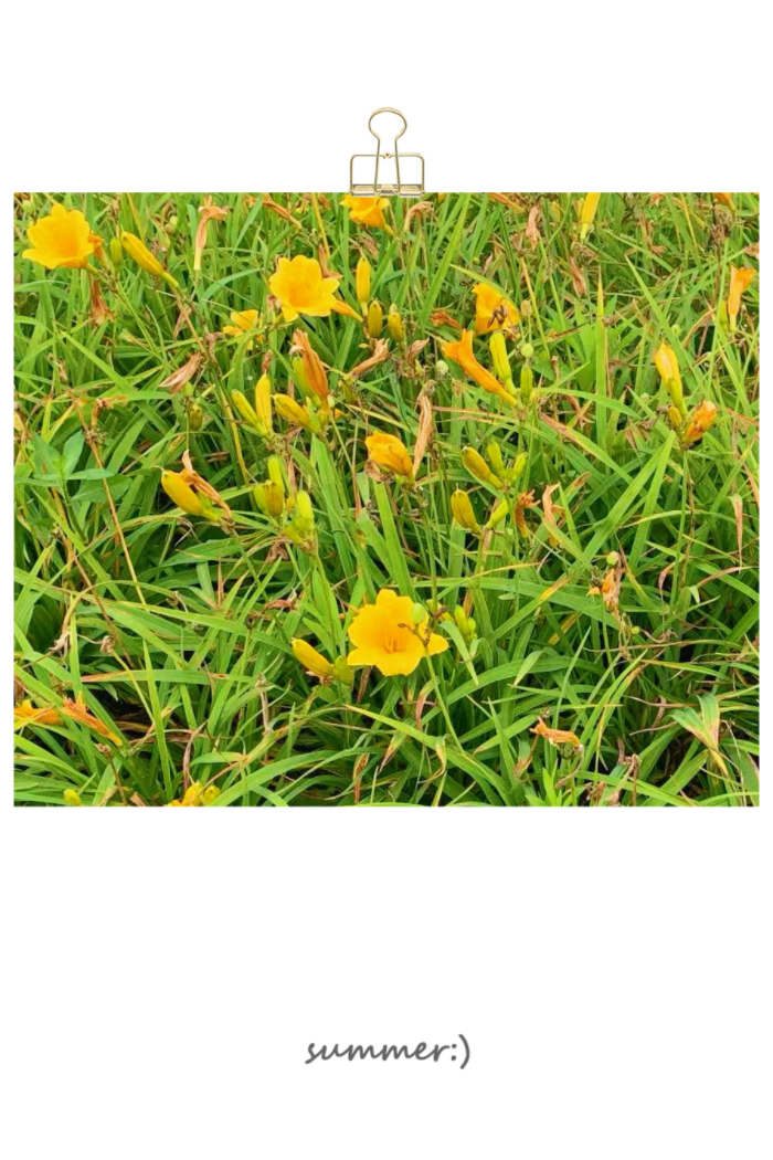 IMG_3164.jpeg