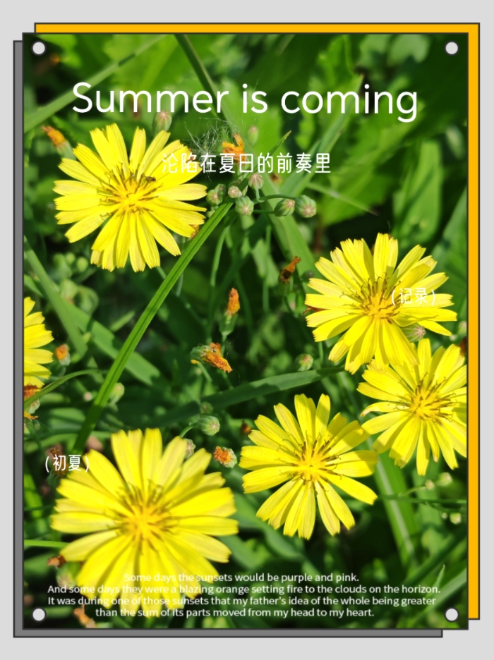 MEITU_20250604_114846288.jpg