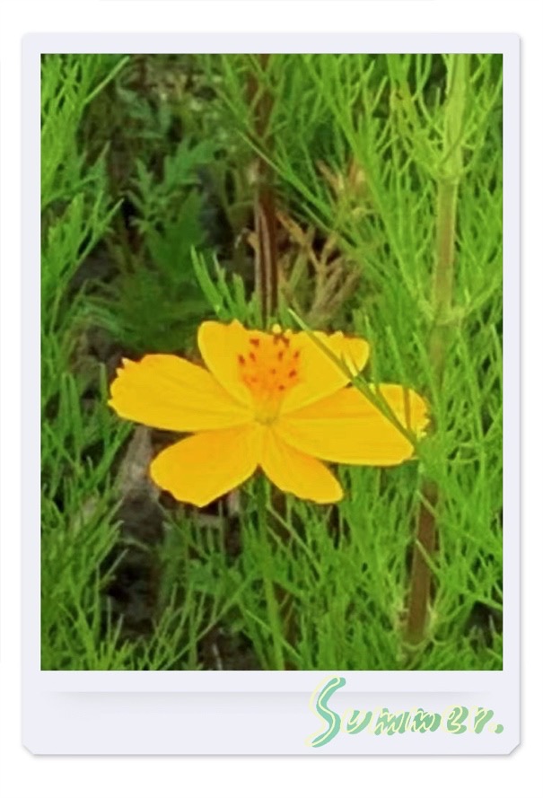 IMG_4839.jpeg