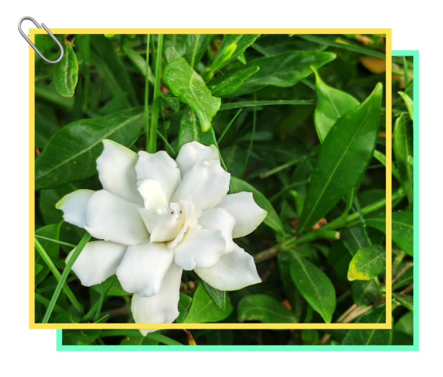 MEITU_20250604_211002763.jpg