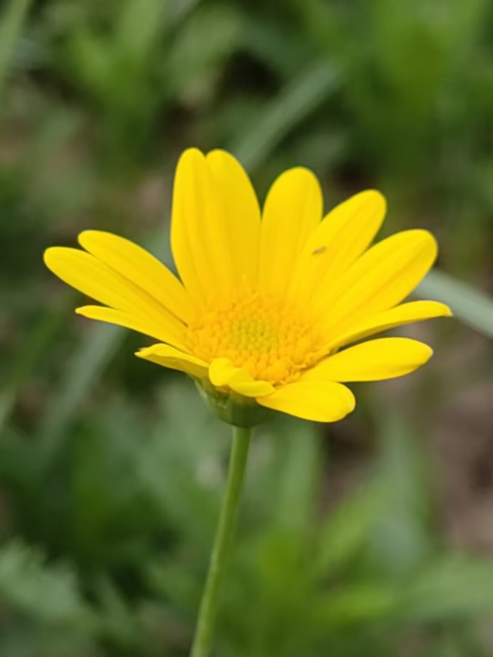 1000020442.jpg