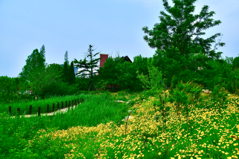 IMG_3492.png