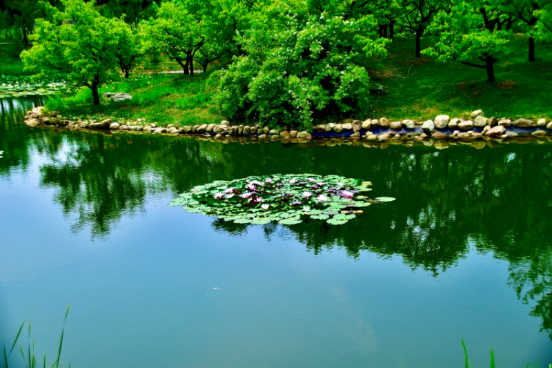 IMG_3490.png