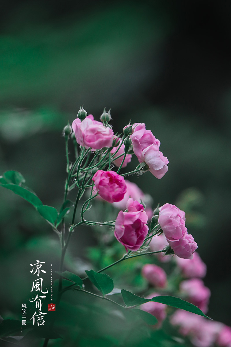 IMG_7656.JPG