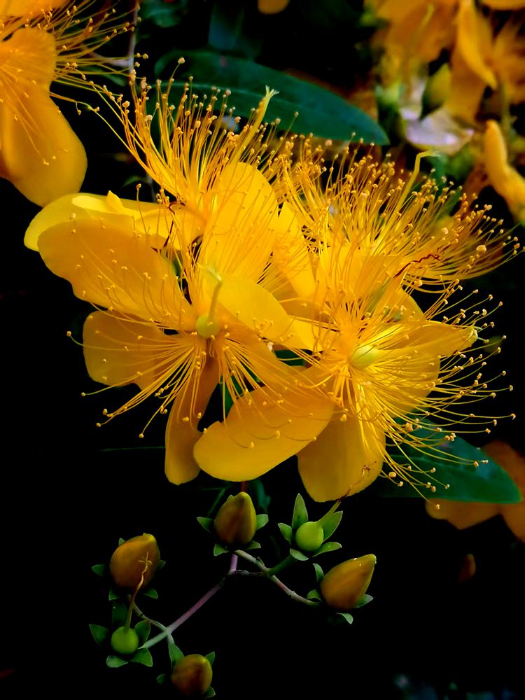 ΢ͼƬ_2025-06-05_201855_116.jpg