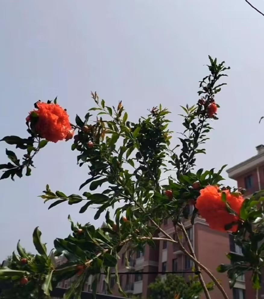 ΢ͼƬ_20250606184906.jpg