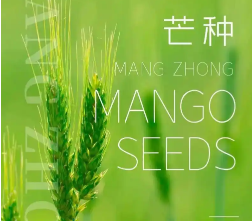 QQ29.png