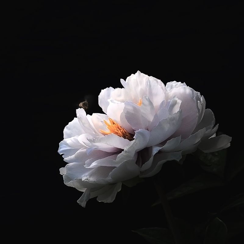 5K7A6343.jpg