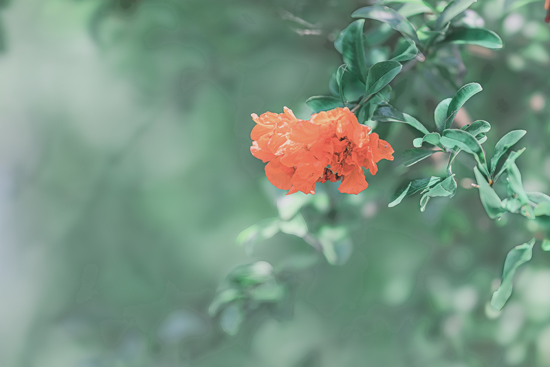 5K7A9472-ָ.jpg