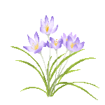 zhuangshi1 (13) (1).gif