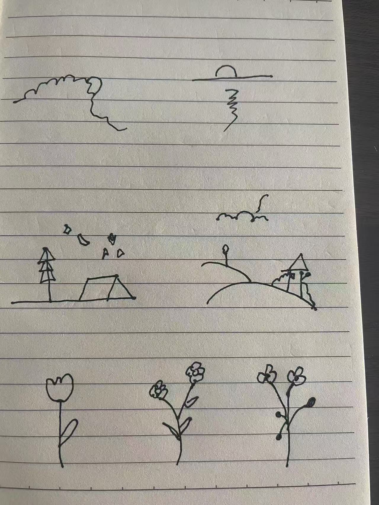 003.jpg