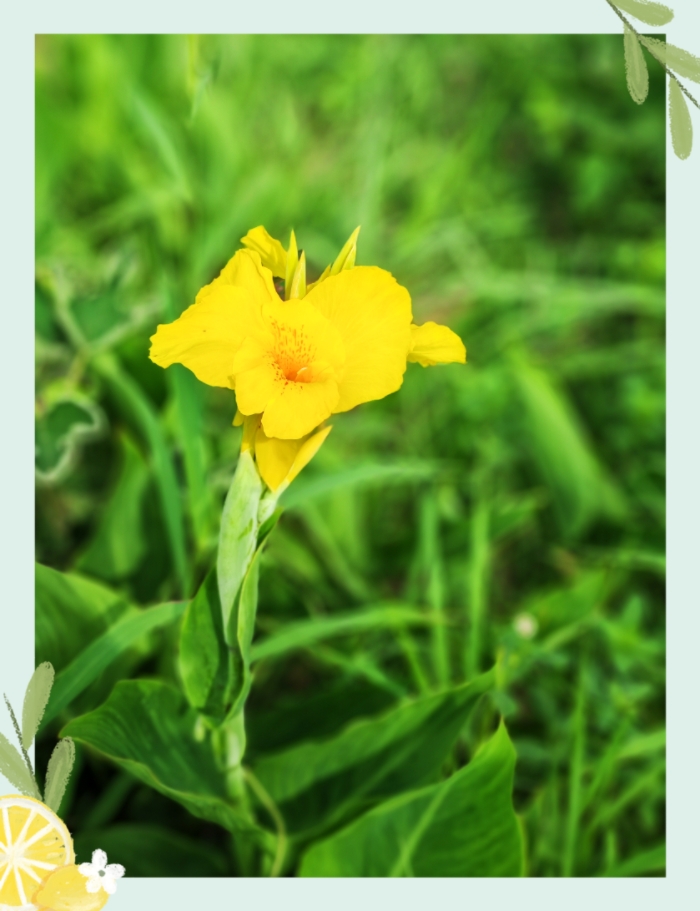 MEITU_20250701_203811648.jpg