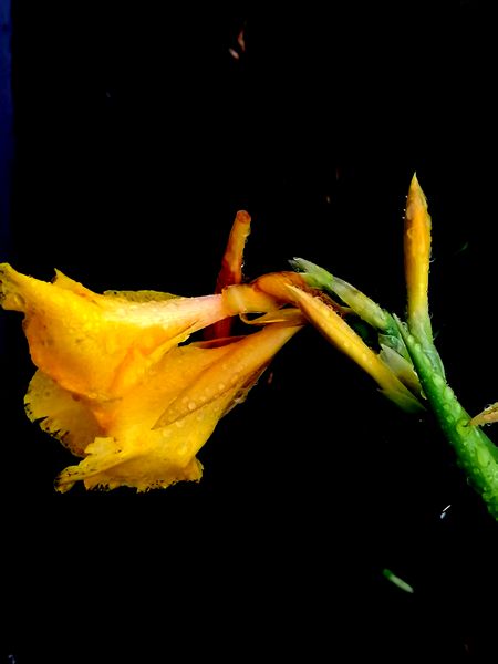 ΢ͼƬ_2025-07-03_201552_718.jpg