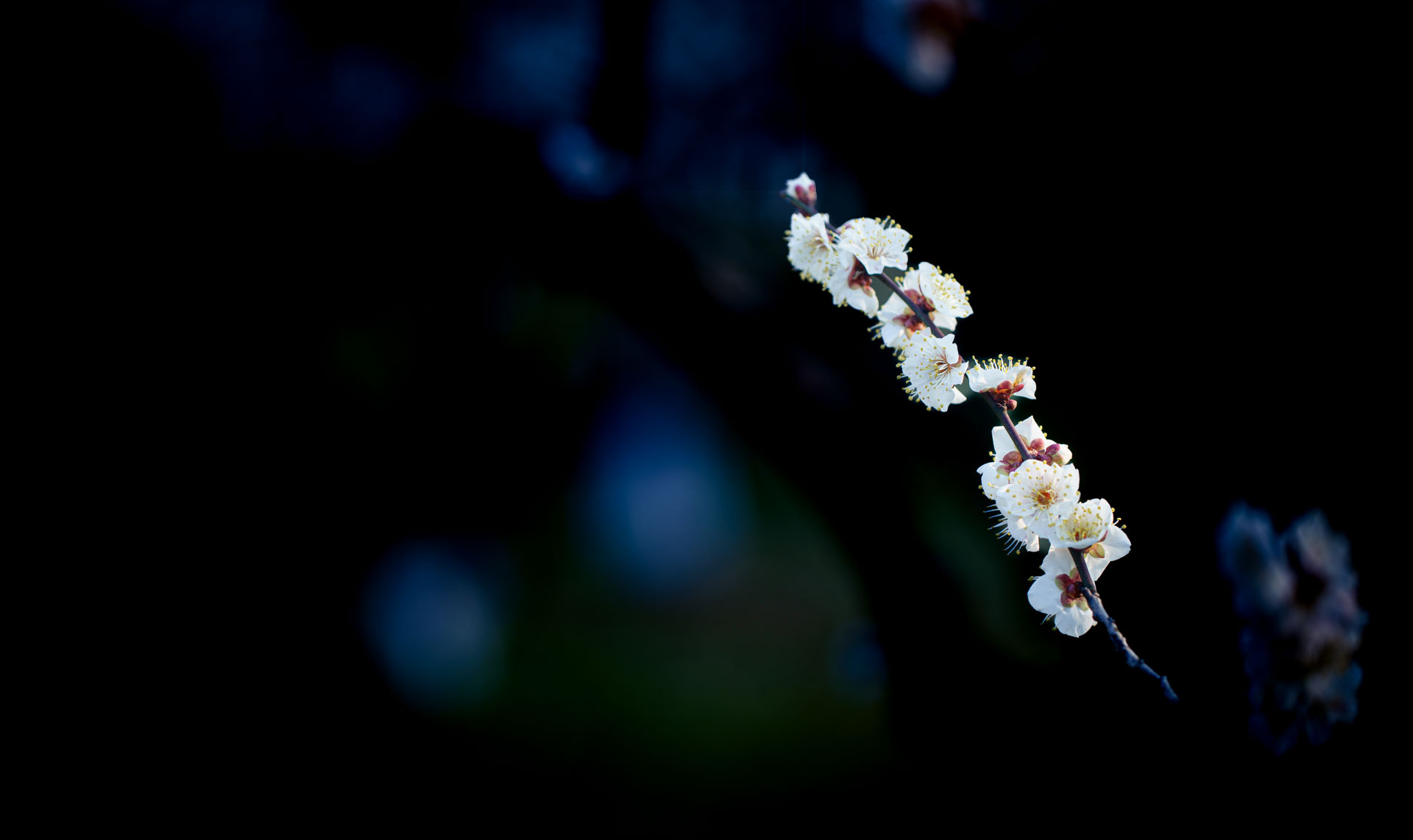 _DSC8256.jpeg