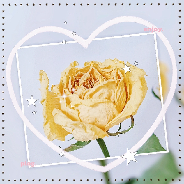 MEITU_20250705_091654536.jpg