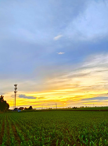 103514eowsw8m7cp885lt8.jpg