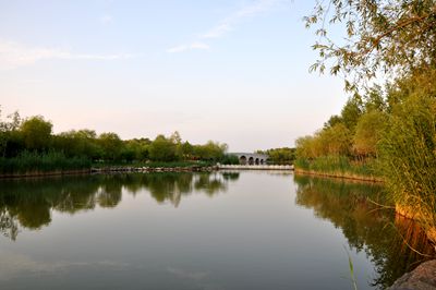 DSC_0218_.jpg