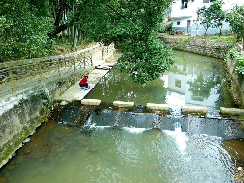 DSCN3231__.jpg