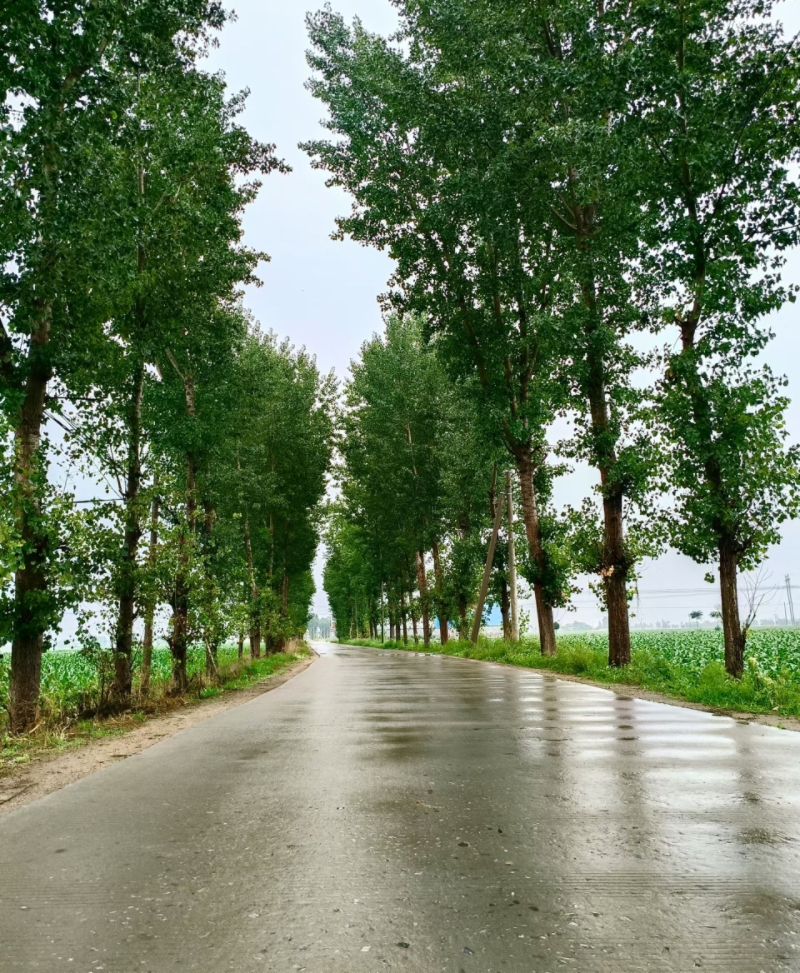 MEITU_20250710_090742566.jpg