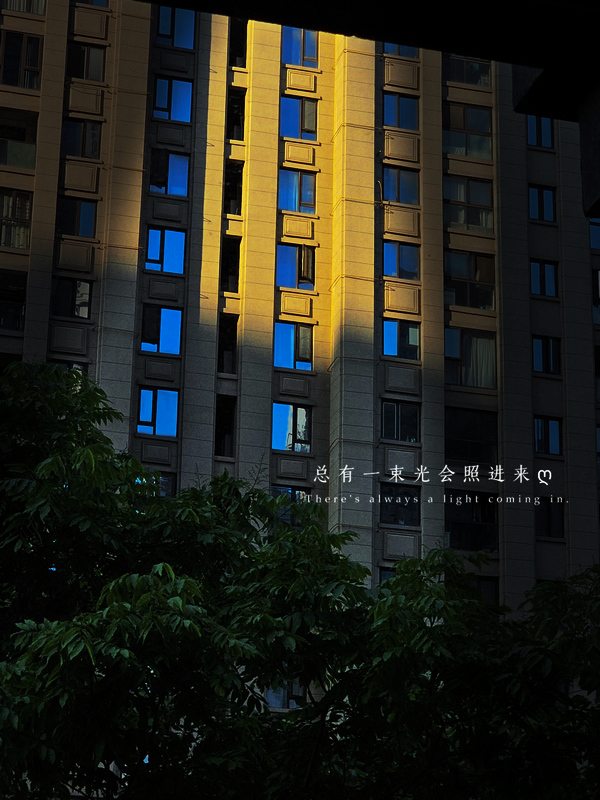 g02.jpg