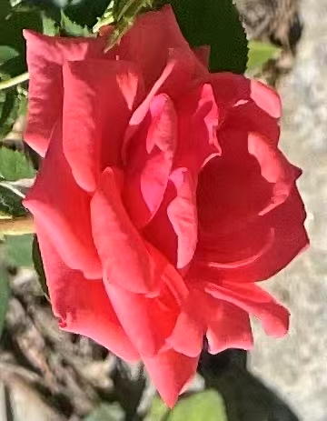 ΢ͼƬ_202507111744331.jpg