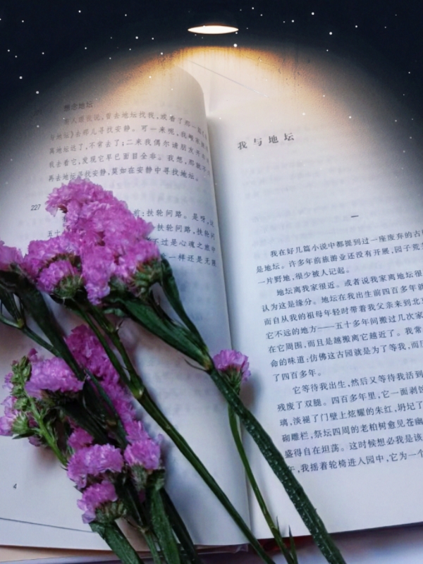 MEITU_20250712_134456103.jpg