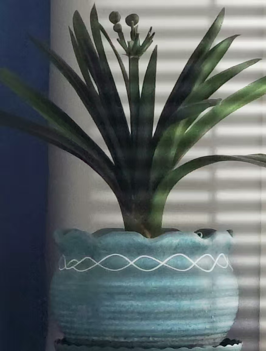΢ͼƬ_20250713123811.jpg