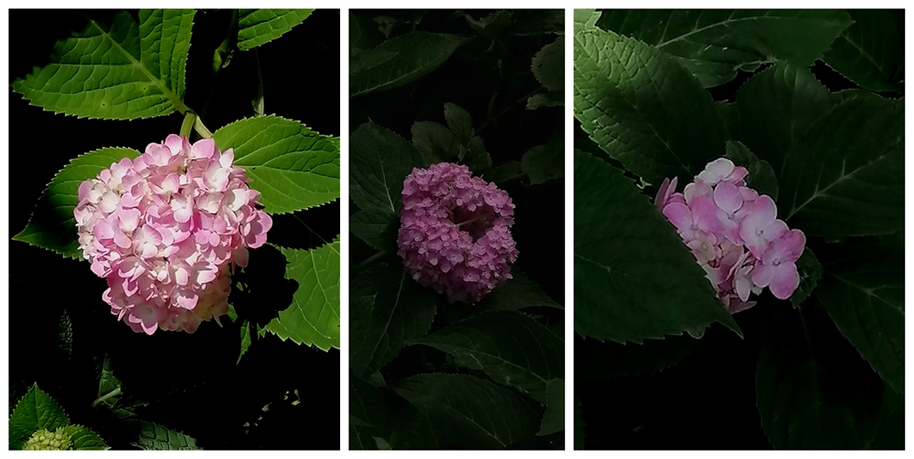 ΢ͼƬ_20250713184138.jpg