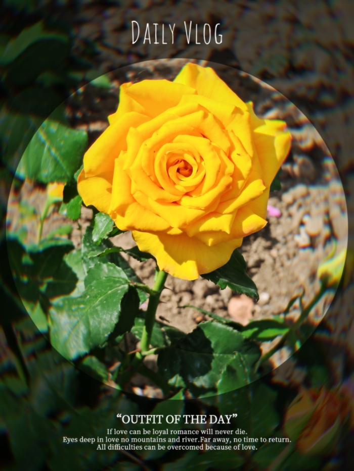 MEITU_20250713_155133934.jpg