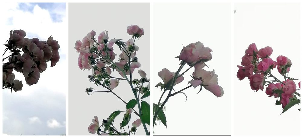 ΢ͼƬ_20250713184306.jpg