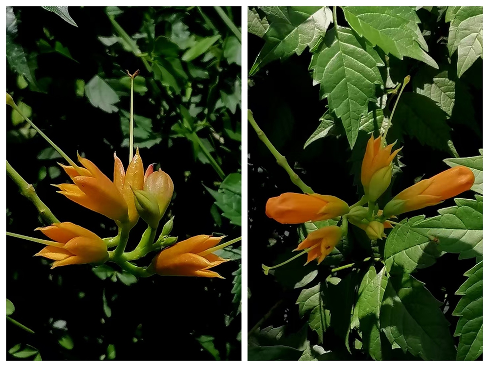 ΢ͼƬ_20250713184251.jpg