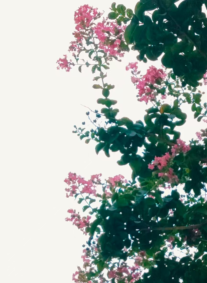 ΢ͼƬ_20250715111914.jpg