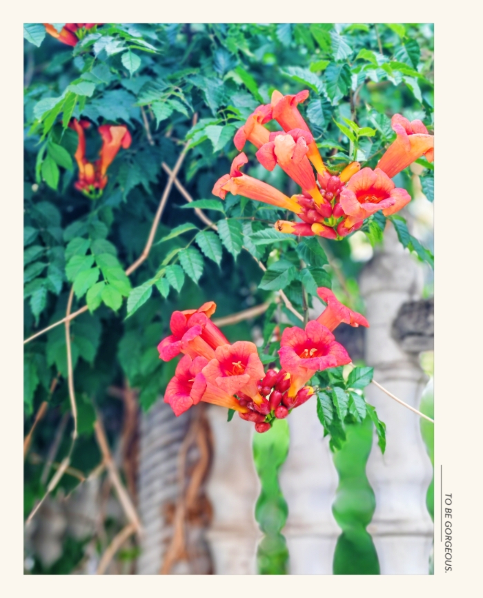 MEITU_20250715_123201494.jpg