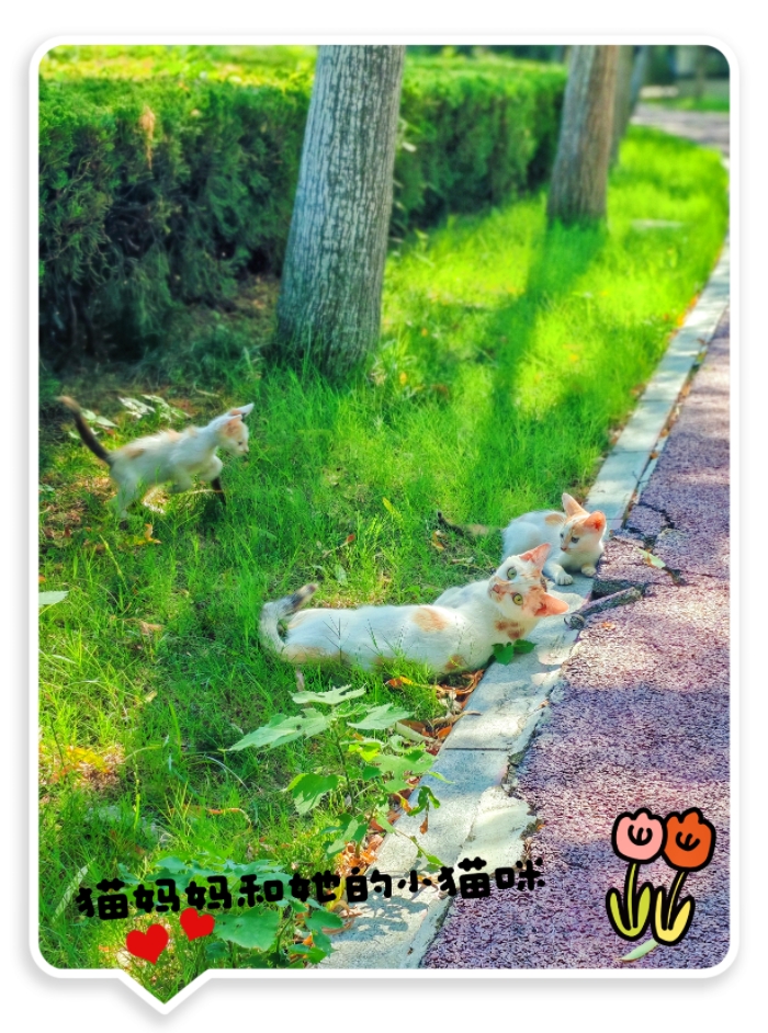 MEITU_20250716_095730203.jpg